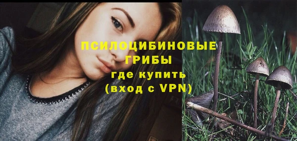 мефедрон Киреевск