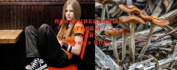 стафф Киренск