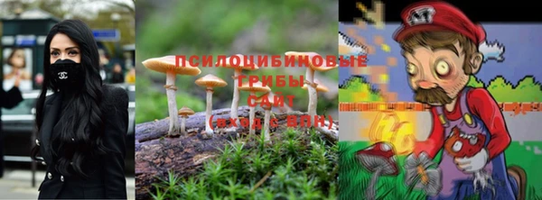 мдпв Кинешма