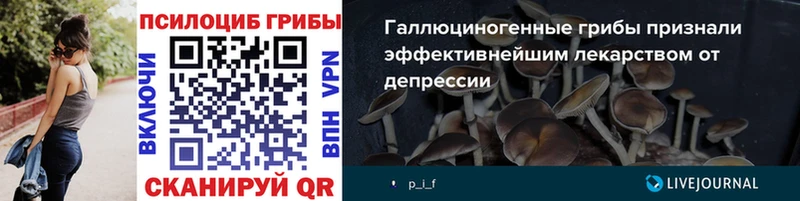 Купить где Мурманск Псилоцибиновые грибы GOLDEN TEACHER